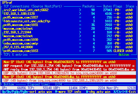 IP Traffic Monitor